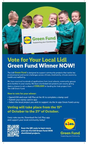 Green Fund - Vote Now (IE)